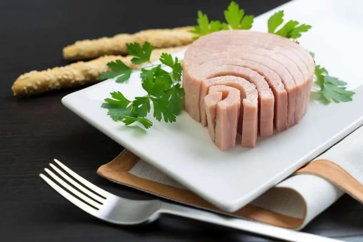فواید و مضرات خوردن تن ماهی برای بدن