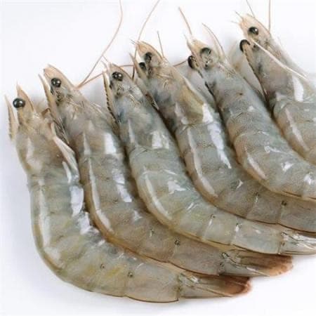 میگو سبز پرورشی (سایز درشت )